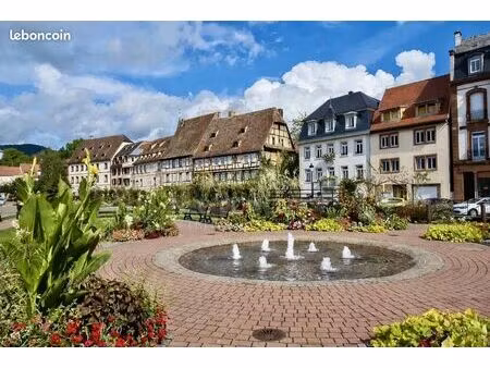 immeuble 314 m² wissembourg