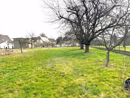 terrains constructibles 10 et 12 ares – secteur calme – burnhaupt-le-haut