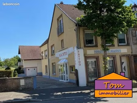 immeuble 100 m² sarre-union