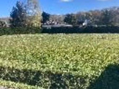 vente terrain barbazan debat 65690