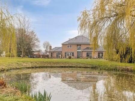 maison à vendre à overpelt € 799.000 (lmqsk) - bianca esposito vastgoed | zimmo