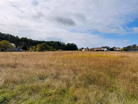 vente terrain 818 m² à les montils (41120)  28 000 €