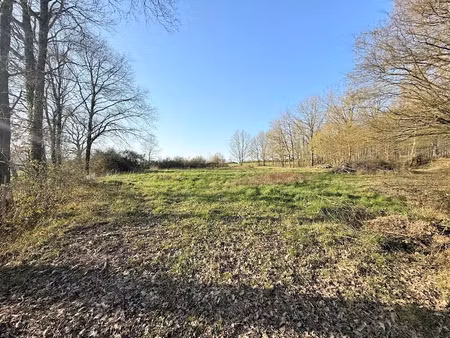 vente terrain à vierzon (18100)  45 000 €
