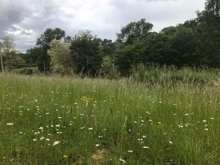 vente terrain 3499 m² à orbessan (32260)  44 000 €