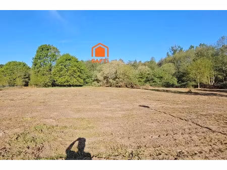 vente terrain à batir 1300 m² à lacquy (40120)  46 269 €