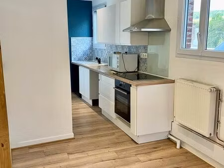 f3 64m²  bel appartement refait   calme et lumineux centre