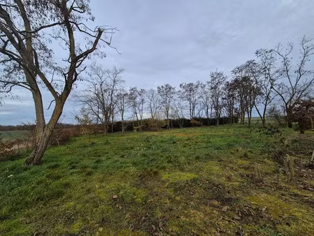 vente terrain 2230 m² à chissay-en-touraine (41400)  35 000 €