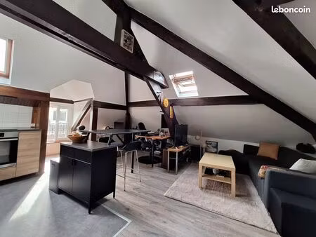 appartement 25m² loi carrez et 50m² surface au sol