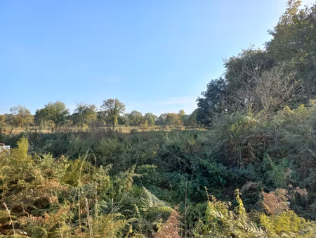 vente terrain au hinglé (22100) : à vendre / le hinglé