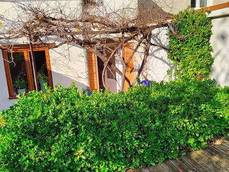 petite maison à louer