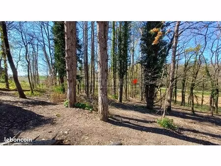 terrain 2393 m² cabanes