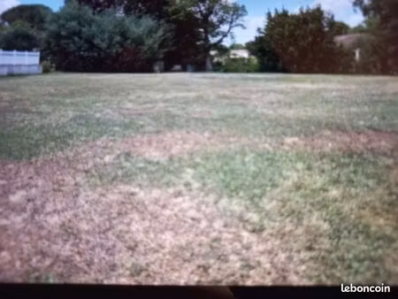 terrain constructible