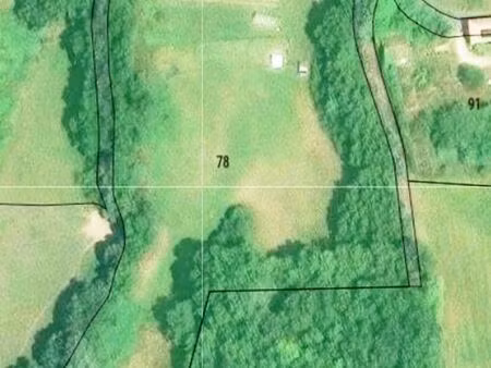 terrain 1 hectare pour pâturage  culture  prairie pour animaux de loisir  chevaux  chèvres