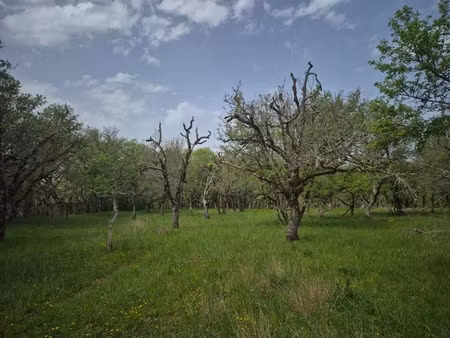 vente terrain 7010 m² à pechs-de-l'espérance (24370)  50 000 €