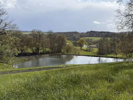 vente terrain 22622 m² à menetou-râtel (18300)  75 000 €