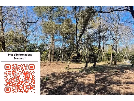 vente terrain 508 m² à notre-dame-de-riez (85270)  72 600 €