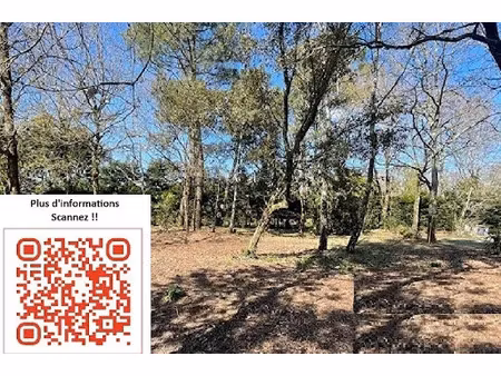 vente terrain 509 m² à notre-dame-de-riez (85270)  72 600 €