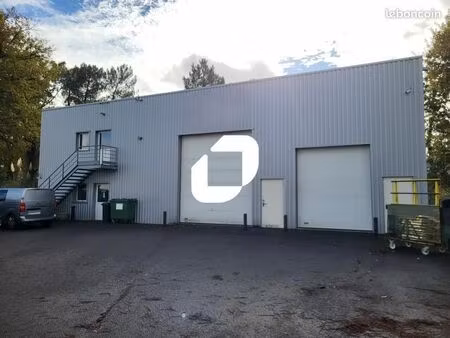 local d'activité 561 m²