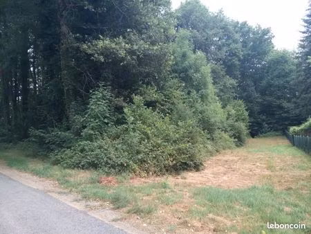 terrain constructible