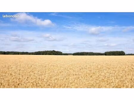 immeuble 699 m² le mesnil-saint-denis