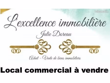 local commercial 425 m² jardres