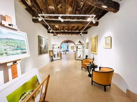 centre ville maison de village  usage commercial actuellement