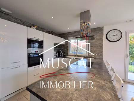 frontonas - maison plain-pied - double garage - terrasse - j