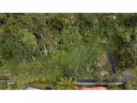 vente terrain à batir 1354 m² à saint claude (97120)  140 000 €