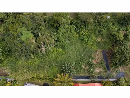 vente terrain à batir 1354 m² à saint claude (97120)  158 000 €