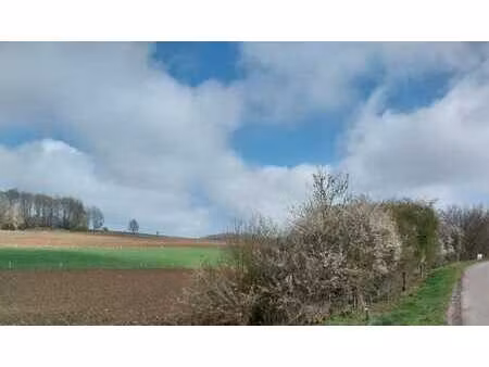 terrain agricole de 5.3ha à durbuy