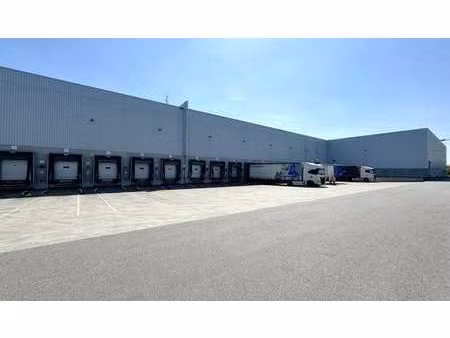 entrepôt à louer au centre logistique kersdonk à willebroek