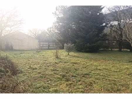 vente terrain 438 m² à pornic (44210)  138 450 €