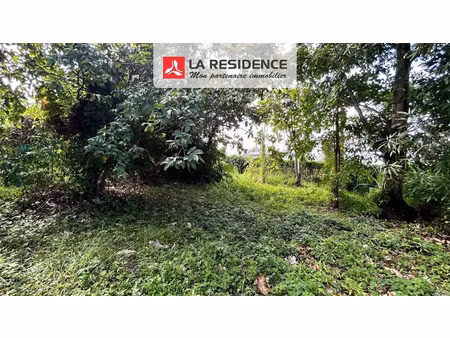 vente terrain 600 m² à riviere salee (97215)  130 000 €