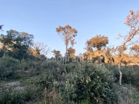 vente terrain 1816 m² à aigaliers (30700)  184 000 €