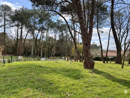 vente terrain 638 m² à labenne (40530)  267 360 €