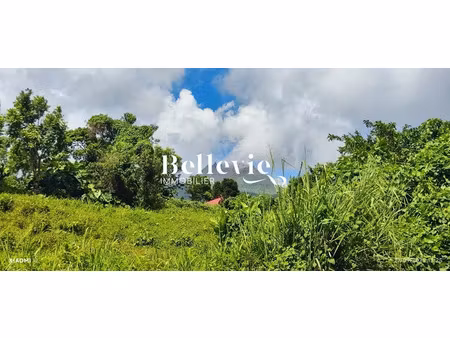 vente terrain à batir 6785 m² à gourbeyre (97113)  330 000 €