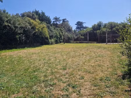 vente terrain 4410 m² à l'ile-d'yeu (85350)  879 750 €