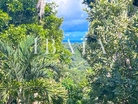 vente terrain 14466 m² à petit bourg (97170)  400 000 €