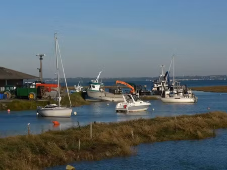 vente terrain au vivier-sur-mer (35960) : à vendre / 292m² le vivier-sur-mer