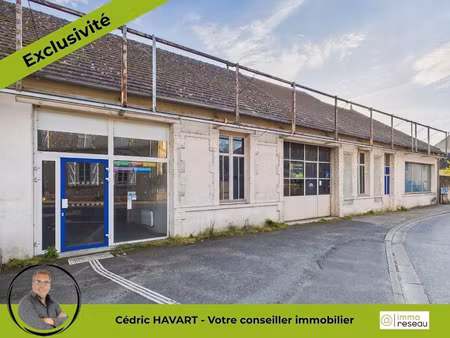 vente locaux professionnels 3 pièces 600 m² à le blanc (36300)  108 000 €