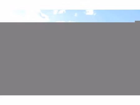 vente locaux professionnels 259 m² à souvigne (37330)  300 000 €