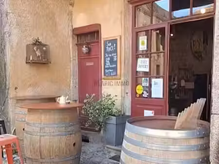 vente locaux professionnels 0 pièces 44 m² à lagrasse (11220)  45 000 €