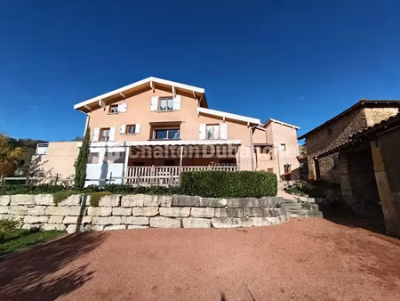 vente locaux professionnels 10 pièces 270 m² à saint-forgeux (69490)  560 000 €