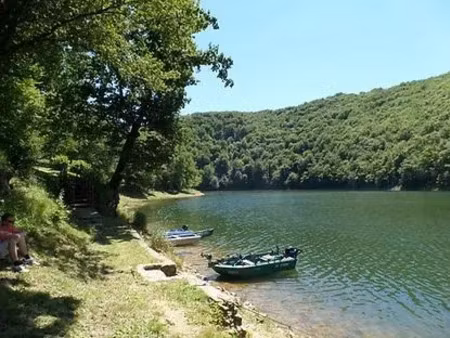 vente locaux professionnels 9 pièces 80 m² à saint-martin-cantalès (15140)  478 400 €