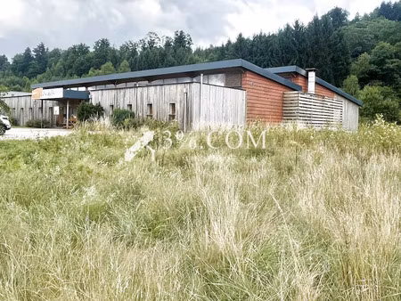 vente locaux professionnels 1000 m² à raves (88520)  569 800 €