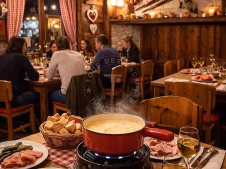 vente locaux professionnels à annecy (74000)  1 195 000 €