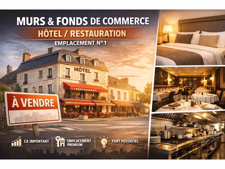 vente locaux professionnels 18 pièces 800 m² à sancoins (18600)  817 500 €