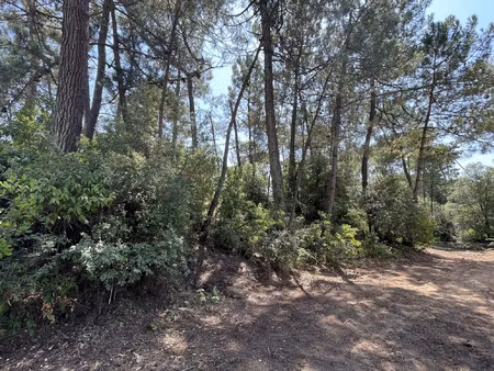 vente terrain à saint-jean-de-monts (85160) : à vendre / 720m² saint-jean-de-monts