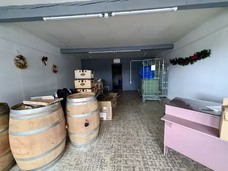 immobilier professionnel à louer cazilhac