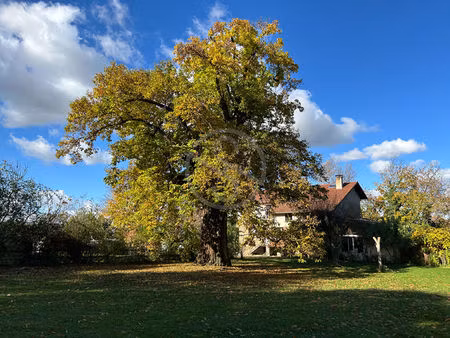 idéal habitat partagé propriété 6 chambres sur 28 057 m2 de terrain !